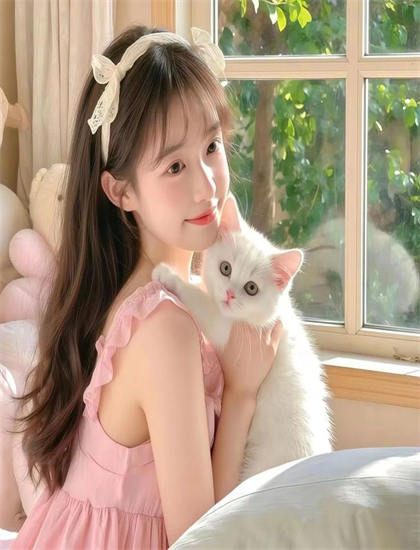 《风骚律师第4季》观看指南：剧情走向、时间线梳理与人物关系图详解